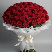 Букет 101 Красная роза Блэк Мэджик в Ессентукской