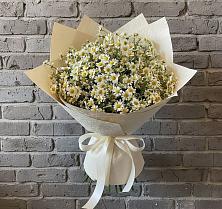 Букет цветов из:  Ромашки в Ессентукской
