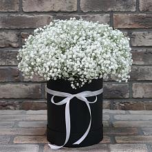 Цветочная композиция из Гипсофила в шляпной коробке в Ессентукской