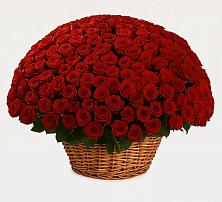 Премиум букет из: Розы #REPLACE_PRED# Ессентукской